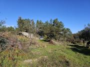 Terreno, Salgueiro do Campo, Castelo Branco | BPI...