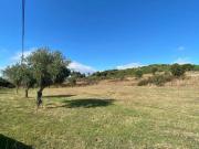 Terreno, Salgueiro do Campo, Castelo Branco | BPI...