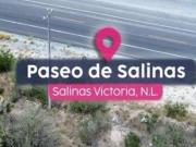 Terreno Salinas Victoria