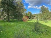 Terreno, Salir de Matos, Caldas da Rainha | BPI Expresso...