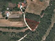 Terreno, Salir de Matos, Caldas da Rainha | BPI Expresso...