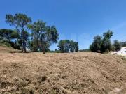 Terreno, Salir de Matos, Caldas da Rainha | BPI Expresso...