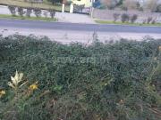 Terreno, Salreu, Estarreja | BPI Expresso Imobiliário