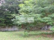 Terreno, San Diego Park, Cotia, SP