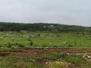 Terreno San Jos? Ter?n