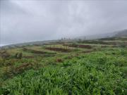 Terreno, San Juan de la Rambla