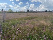 Terreno San Miguel Zinacantepec