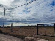 Terreno San Rafael Mendoza Venta