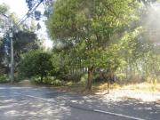 Terreno, Sandim, Olival, Lever e Crestuma, Vila Nova de...