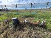 Terreno, Sanlúcar de Barrameda