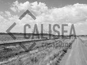 Terreno, Sant Boi de Llobregat