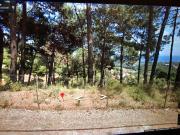 Terreno, Sant Cebrià de Vallalta