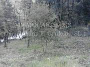 Terreno, Sant Celoni