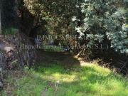 Terreno, Sant Celoni