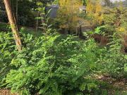 Terreno, Sant Cugat del Vallès