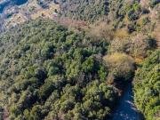 Terreno, Sant Joan les Fonts