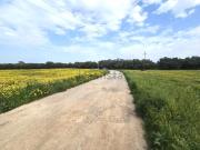 Terreno, Sant Jordi, Palma de Mallorca