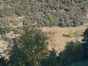 Terreno, Sant Julia de Loria