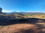 Terreno, Sant Llorenç Savall