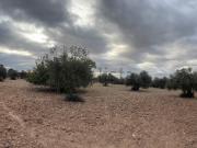 Terreno, Sant Marti de Riucorb