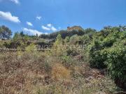 Terreno, Sant Pere de Ribes