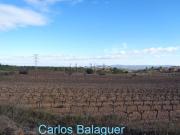 Terreno, Sant Quintí de Mediona