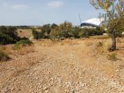 Terreno, Santa Bárbara de Nexe, Faro | BPI Expresso...