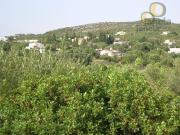 Terreno, Santa Bárbara de Nexe, Faro | BPI Expresso...