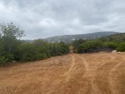 Terreno, Santa Bárbara de Nexe, Faro | BPI Expresso...