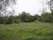 Terreno, Santa Bárbara de Nexe, Faro | BPI Expresso...