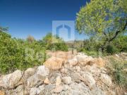 Terreno, Santa Bárbara de Nexe, Faro | BPI Expresso...
