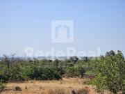 Terreno, Santa Bárbara de Nexe, Faro | BPI Expresso...