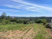 Terreno, Santa Catarina, Caldas da Rainha | BPI Expresso...