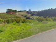 Terreno, Santa Catarina, Caldas da Rainha | BPI Expresso...