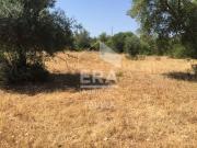 Terreno, Santa Catarina Da Fonte Do Bispo, Tavira | BPI...