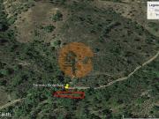 Terreno, Santa Catarina Da Fonte Do Bispo, Tavira | BPI...