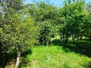 Terreno, Santa Clara e Castelo Viegas, Coimbra | BPI...