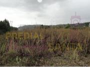 Terreno, Santa Clara e Castelo Viegas, Coimbra | BPI...