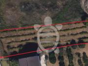 Terreno, Santa Clara e Castelo Viegas, Coimbra | BPI...