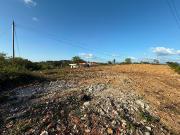 Terreno, Santa Clara e Castelo Viegas, Coimbra | BPI...
