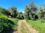 Terreno, Santa Clara e Castelo Viegas, Coimbra | BPI...