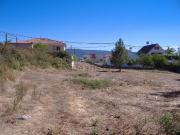 Terreno, Santa Cruz/Trindade e Sanjurge