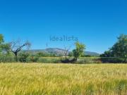 Terreno, Santa Maria de Dulcis