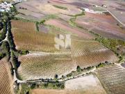 Terreno, Santa Maria, São Pedro e Matacães, Torres...