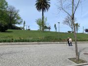Terreno, Santa Marinha e São Pedro da Afurada, Vila Nova...