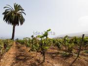 Terreno, Santa Ursula