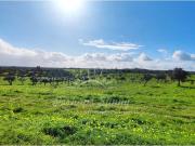 Terreno, Santiago do Cacém Santa Cruz São Bartolomeu da...