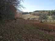 Terreno, Santibañez el Alto