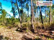 Terreno, Santo André Das Tojeiras, Castelo Branco | BPI...