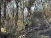 Terreno, Santo André Das Tojeiras, Castelo Branco | BPI...